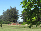 Fotos del Predio