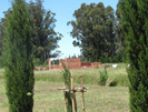 Fotos del Predio