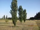 Fotos del Predio
