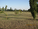Fotos del Predio