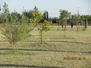 Fotos del Predio