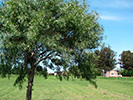 Fotos del Predio