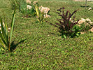 Fotos del Predio