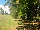 Fotos del Predio