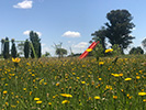 2019 - Vivir rodeado por la naturaleza