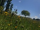 2019 - Vivir rodeado por la naturaleza