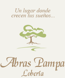 Abras pampas